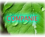 companie
